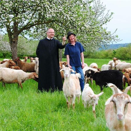 برشينغ Kloster Plankstetten Gaste- Und Tagungshaus المظهر الخارجي الصورة