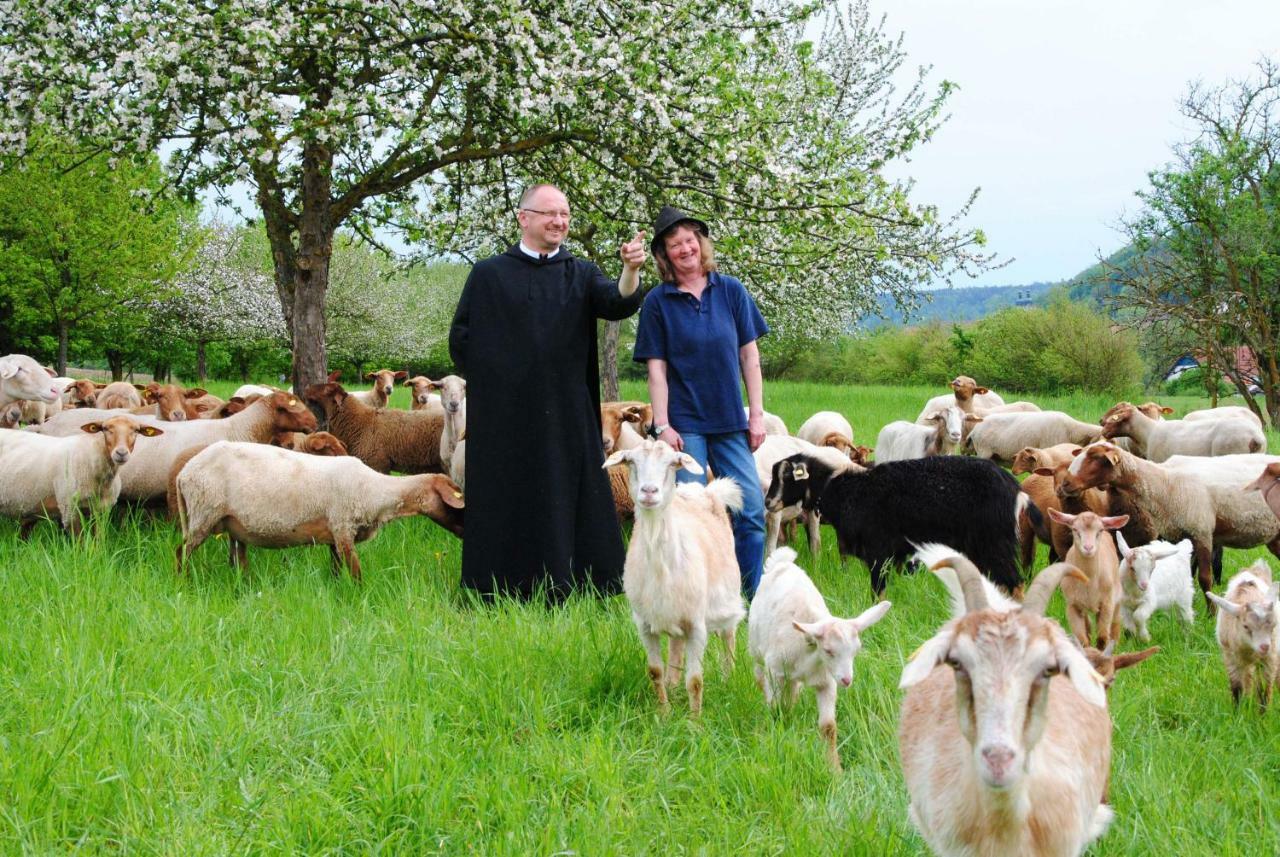 برشينغ Kloster Plankstetten Gaste- Und Tagungshaus المظهر الخارجي الصورة